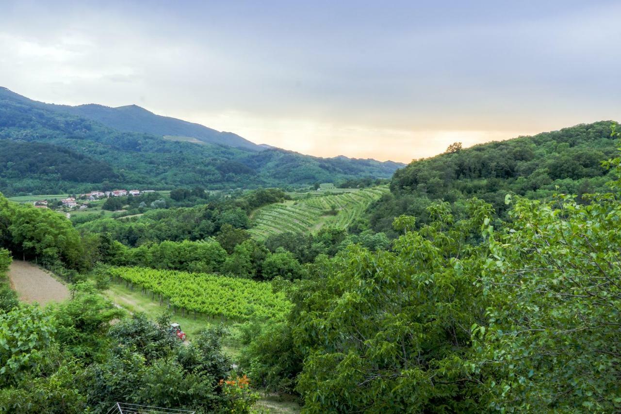 Hotel Cebron Family Estate Branik Zewnętrze zdjęcie