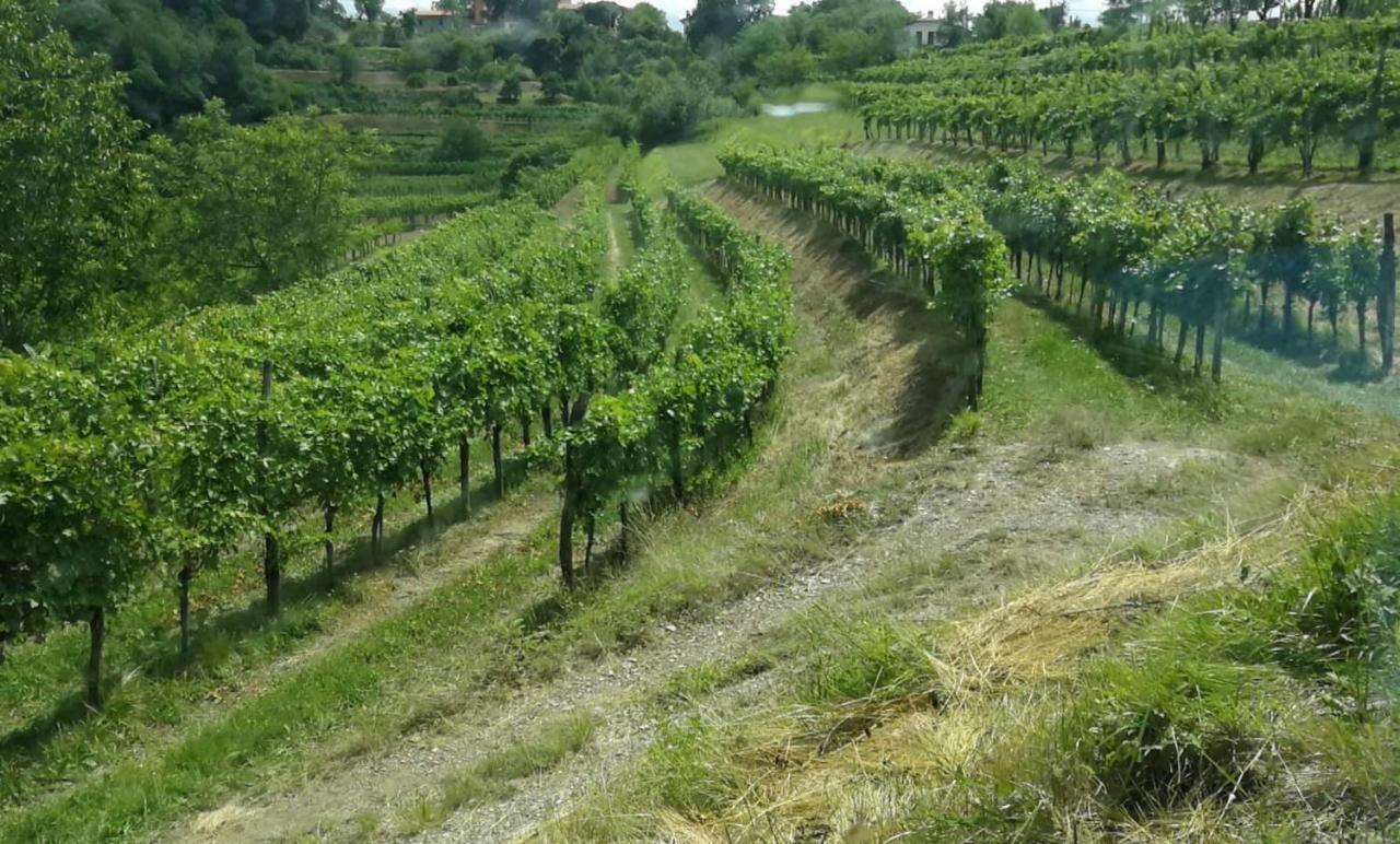 Hotel Cebron Family Estate Branik Zewnętrze zdjęcie