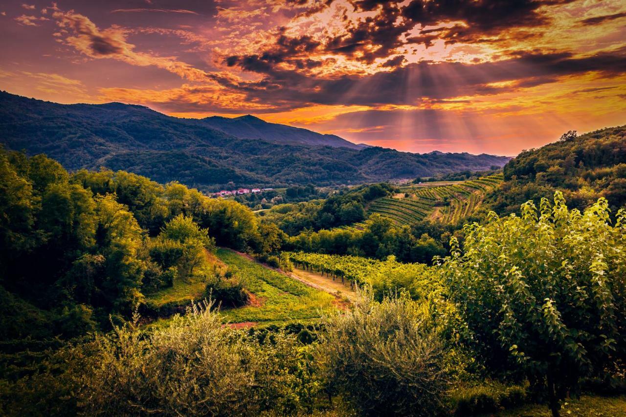 Hotel Cebron Family Estate Branik Zewnętrze zdjęcie