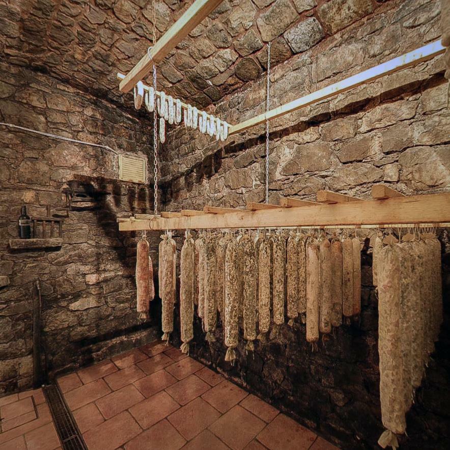 Hotel Cebron Family Estate Branik Zewnętrze zdjęcie